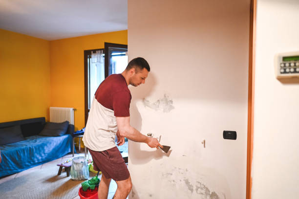 Best Localized Mold Remediation (e.g., coastal areas, humid climates) in Barbourmeade, KY